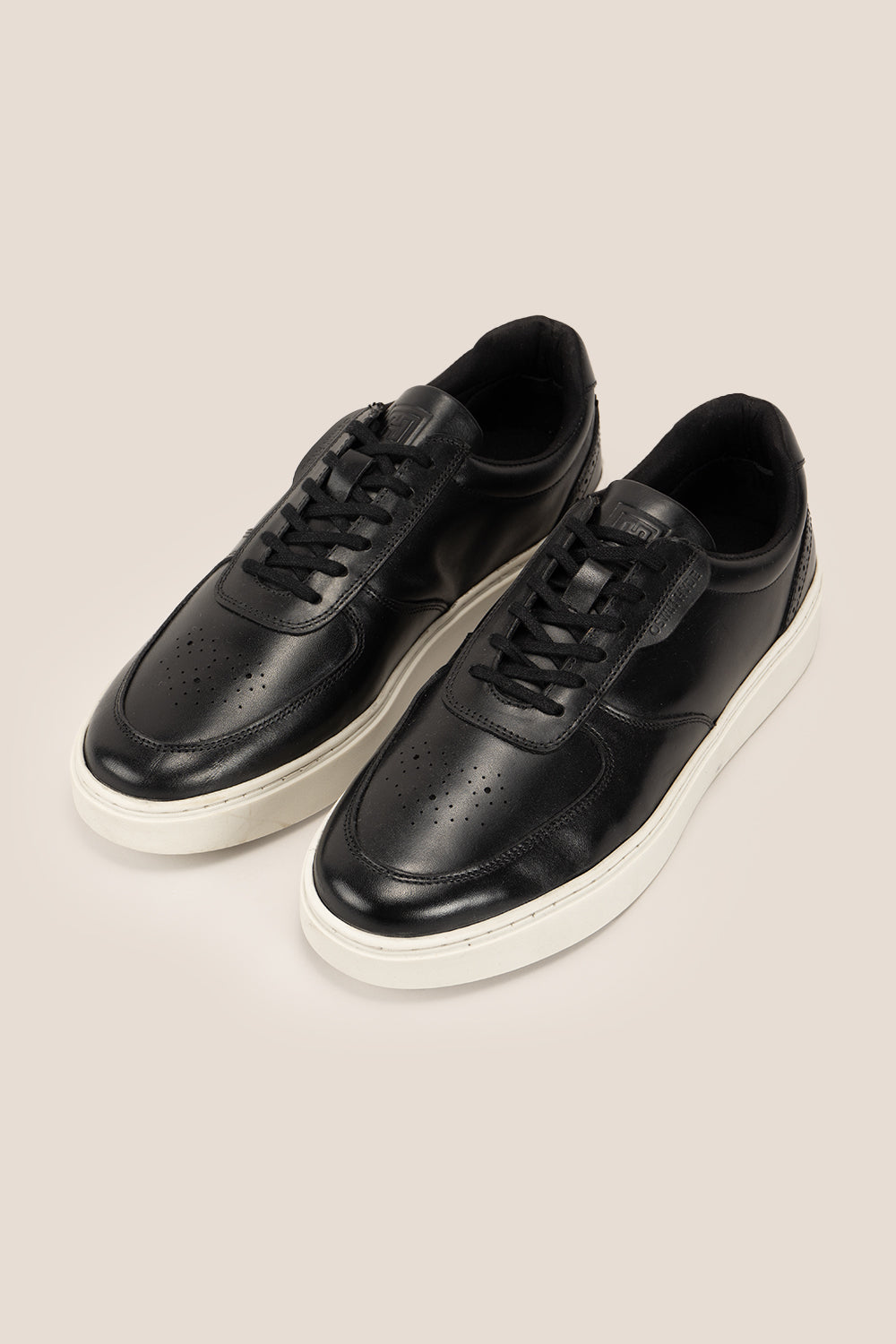 Scout Black