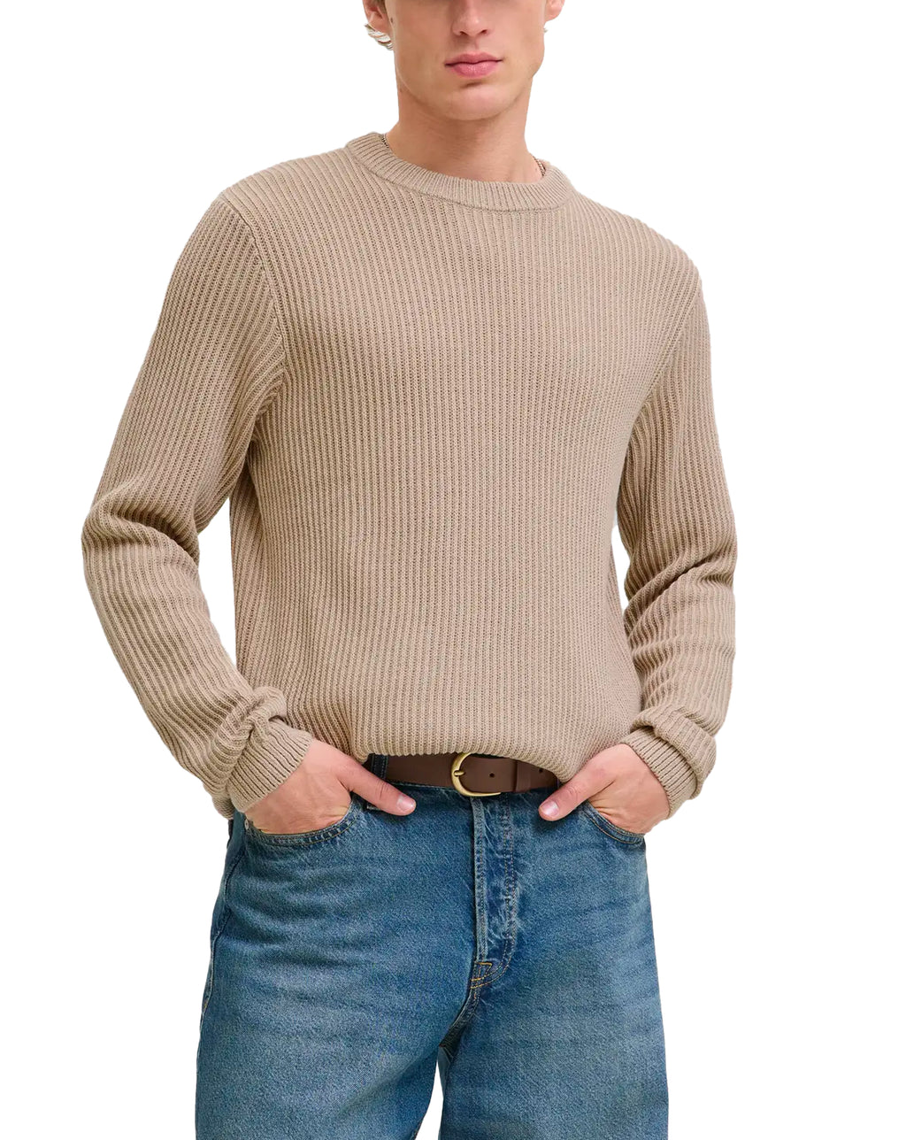 Jack & Jones JJE Dover Knit crew neck MOONBEAM