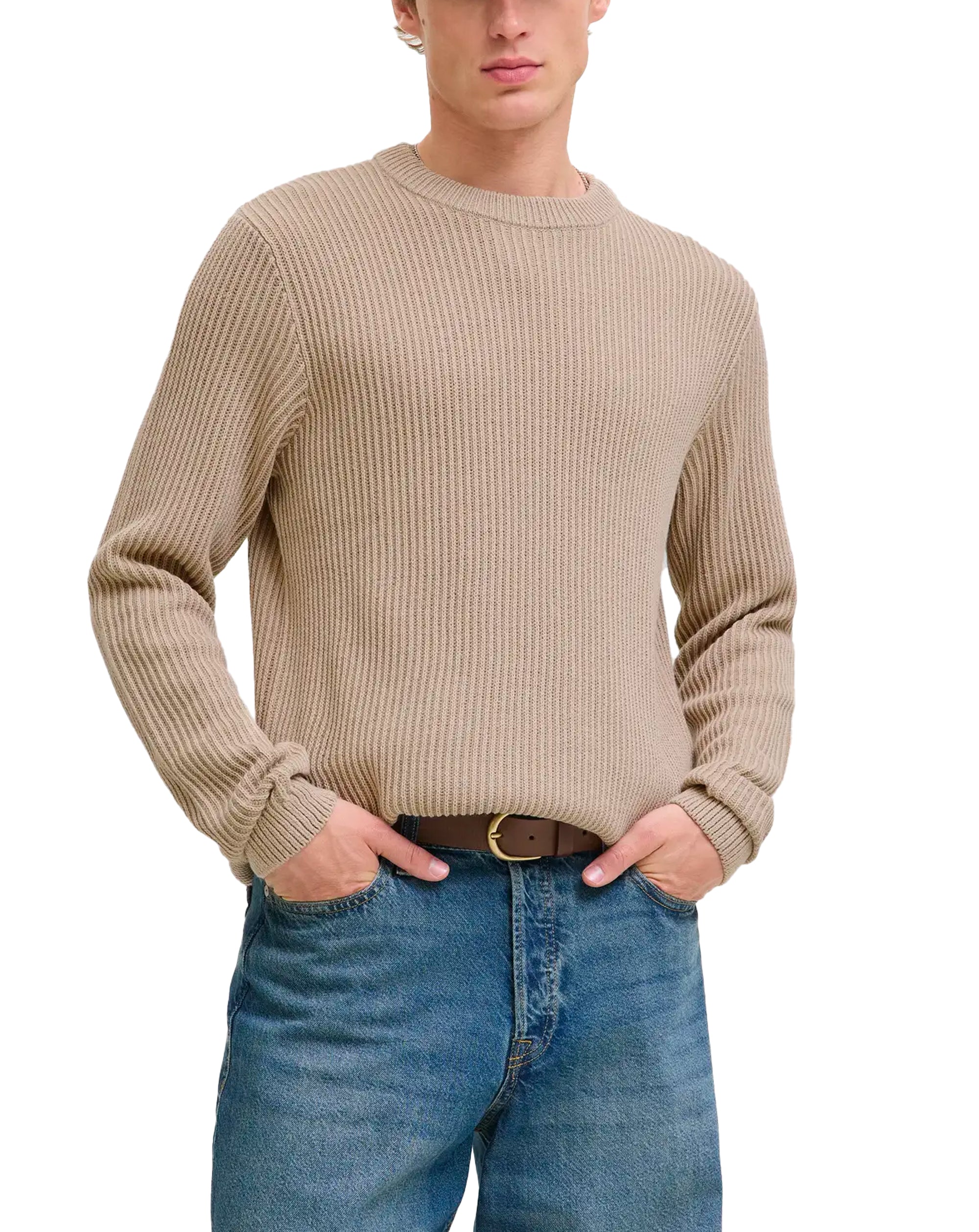 Jack & Jones JJE Dover Knit crew neck MOONBEAM