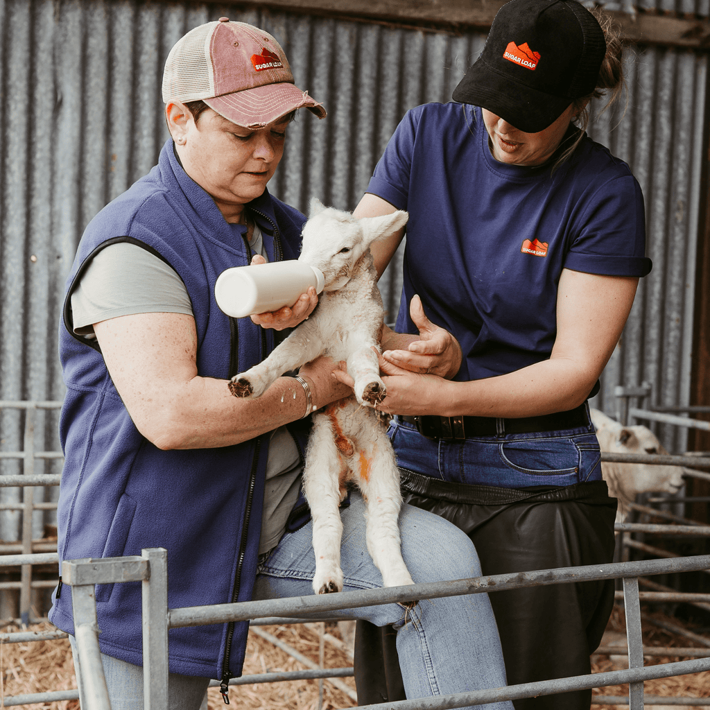 Sugar Loaf Highland Polar Fleece Gilet - Indigo Blue