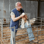 Sugar Loaf Highland Polar Fleece Gilet - Indigo Blue