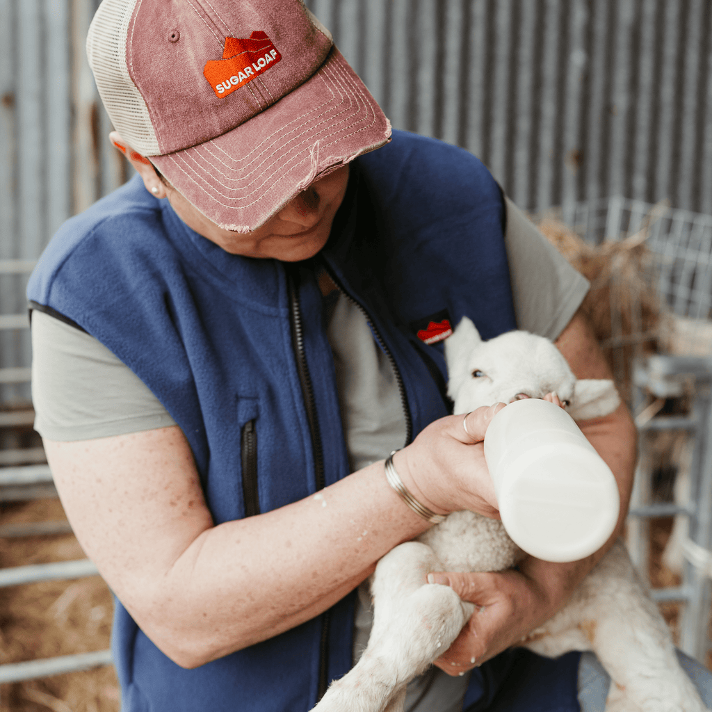 Sugar Loaf Highland Polar Fleece Gilet - Indigo Blue