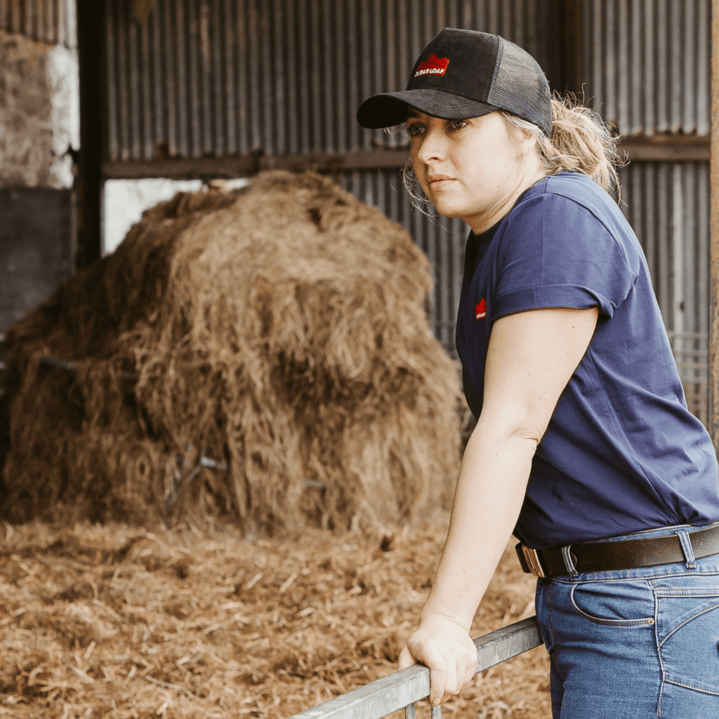 Sugar Loaf Territory T-Shirt - Indigo Blue