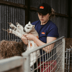 Sugar Loaf Territory T-Shirt - Indigo Blue
