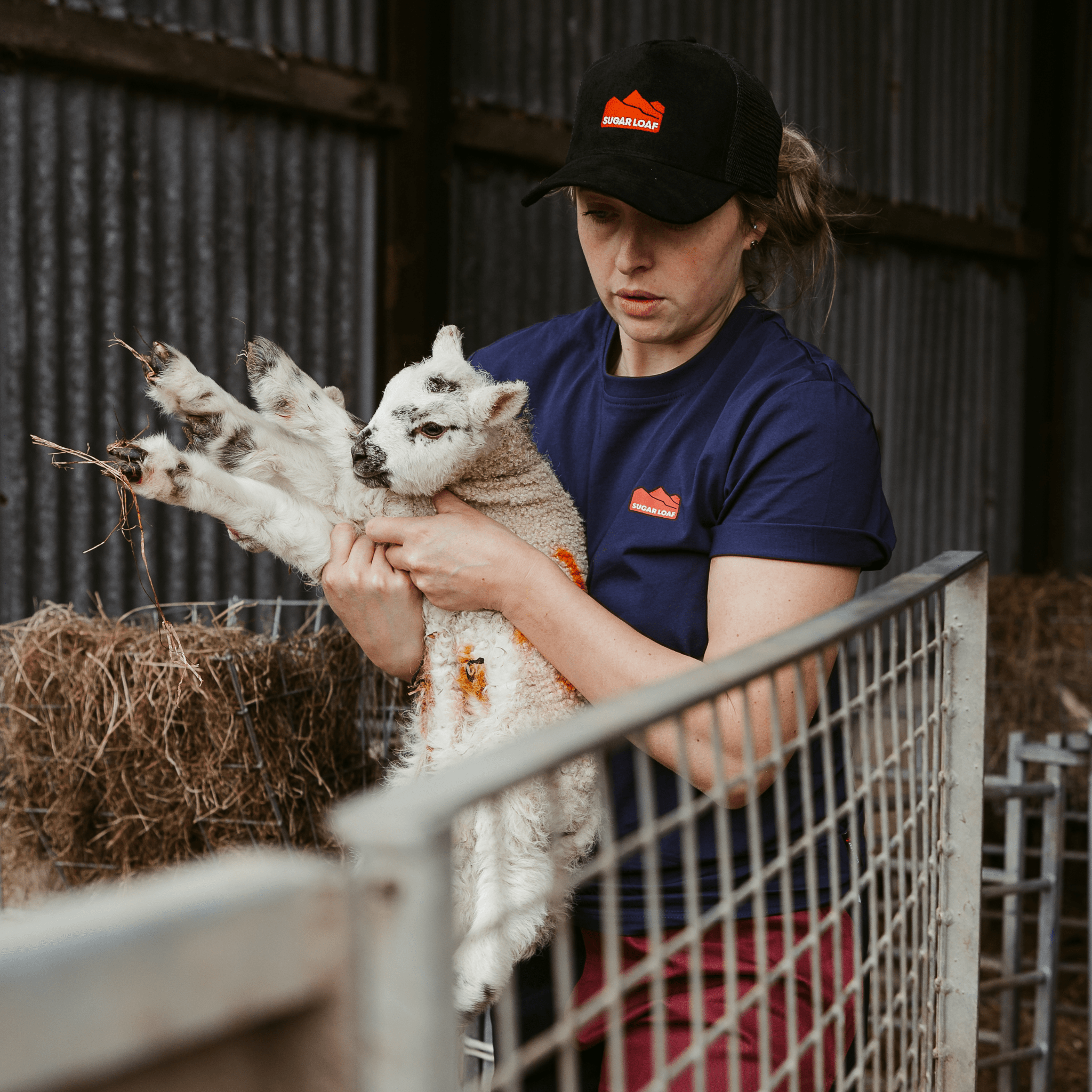 Sugar Loaf Territory T-Shirt - Indigo Blue