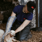 Sugar Loaf Territory T-Shirt - Indigo Blue