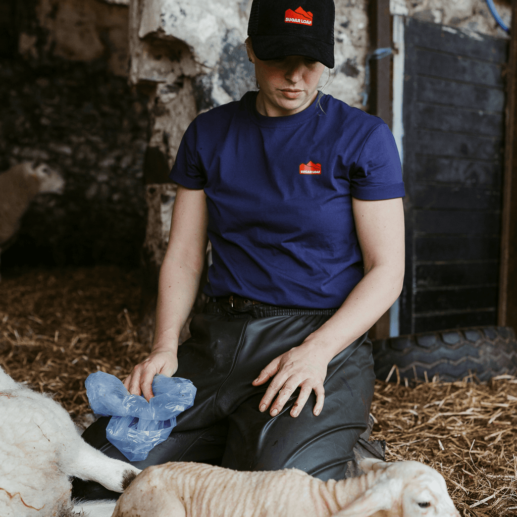 Sugar Loaf Territory T-Shirt - Indigo Blue