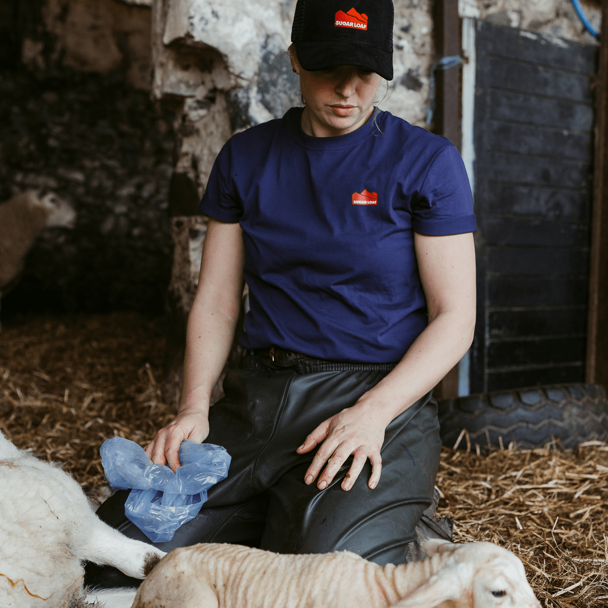 Sugar Loaf Territory T-Shirt - Indigo Blue