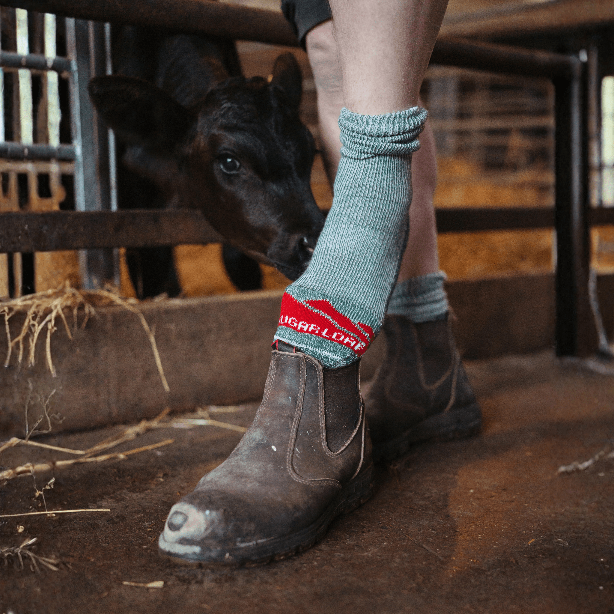 Sugar Loaf Merino Pasture Socks