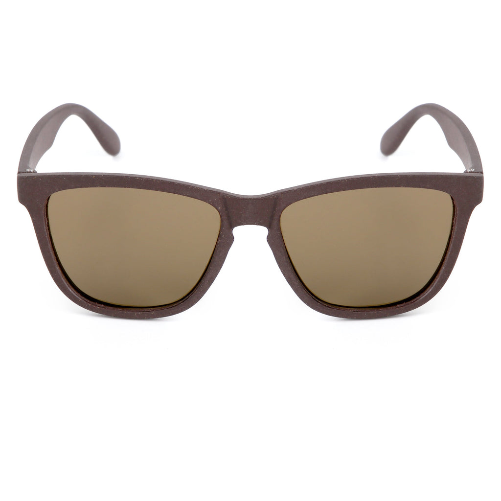 Wilpena Sunglasses - Coffee